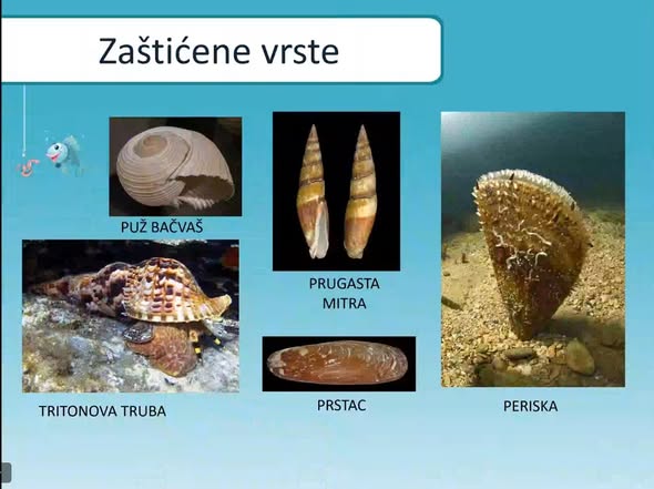 Sat za znanost
